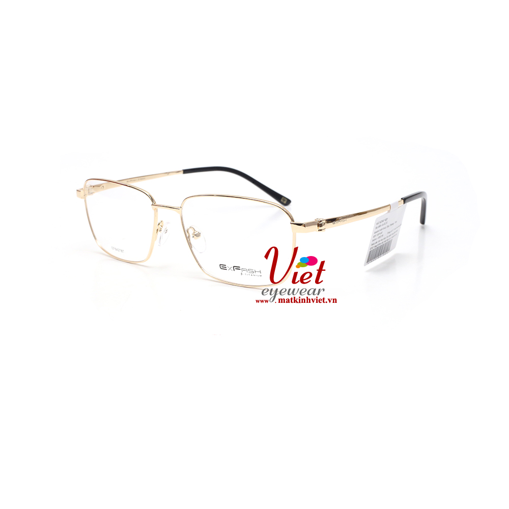 Gọng kính Exfash EF84278T  901